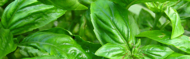 Slideshow Image 1