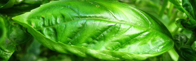 Slideshow Image 6