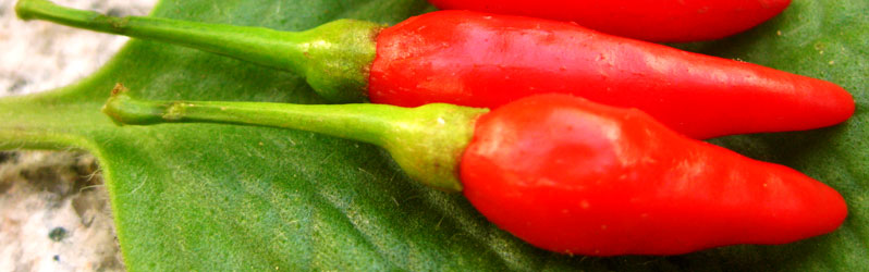 Slideshow Image 4